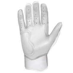 BRUCE BOLT 2021 CHROME SERIES SHORT CUFF BATTING GLOVES WITH STORAGE BAG 16 BRUCE BOLT 2021 CHROME SERIES SHORT CUFF BATTING GLOVES WITH STORAGE BAG -Baseball Shop 14 1000x b37477f4 ab00 4510 8974 aabb06af19ab