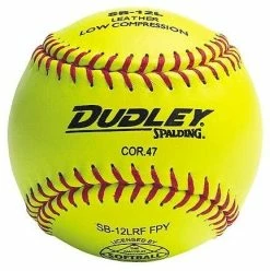 DUDLEY SPORTS Dudley WIAA Yellow SBs - Ea